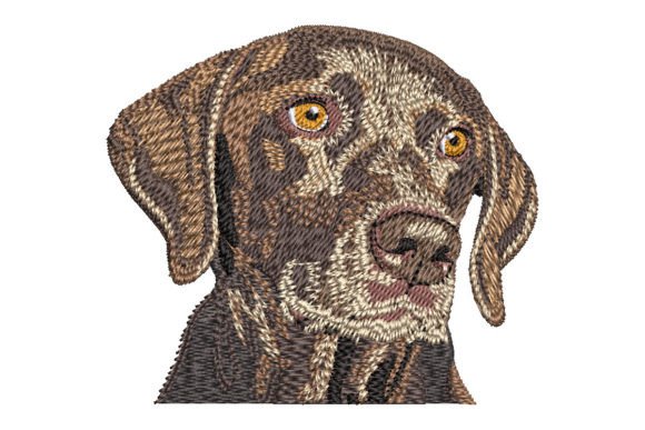 Reviewing the German Shorthaired Pointer Design